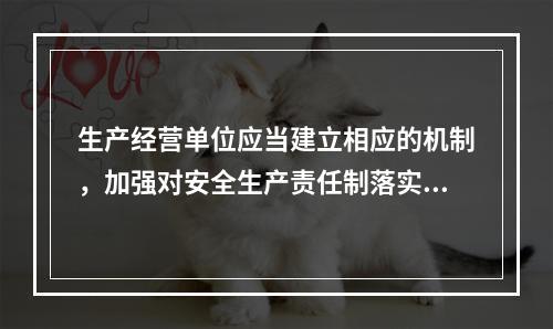 生产经营单位应当建立相应的机制，加强对安全生产责任制落实情况