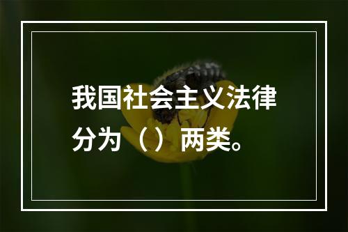 我国社会主义法律分为（ ）两类。