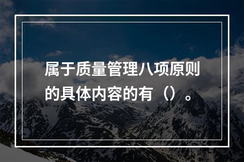 属于质量管理八项原则的具体内容的有（）。