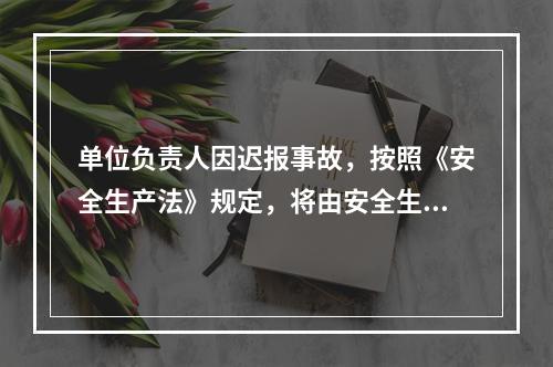 单位负责人因迟报事故，按照《安全生产法》规定，将由安全生产监