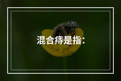 混合痔是指：