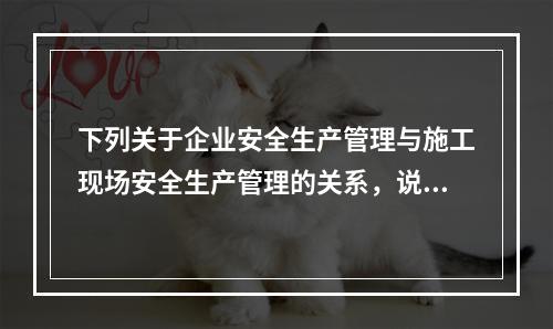 下列关于企业安全生产管理与施工现场安全生产管理的关系，说法错