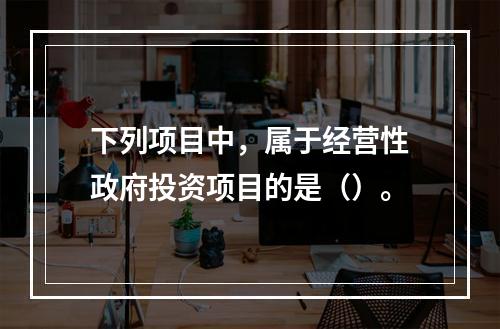 下列项目中，属于经营性政府投资项目的是（）。