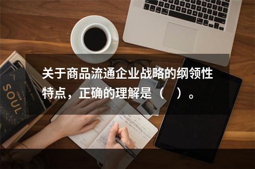 关于商品流通企业战略的纲领性特点，正确的理解是（　）。