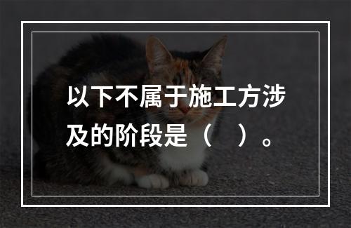 以下不属于施工方涉及的阶段是（　）。