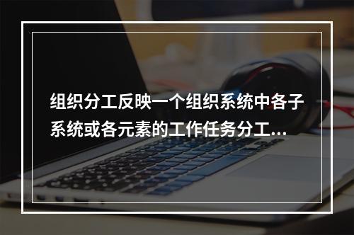 组织分工反映一个组织系统中各子系统或各元素的工作任务分工和管