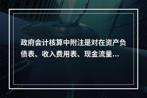 政府会计核算中附注是对在资产负债表、收入费用表、现金流量表等