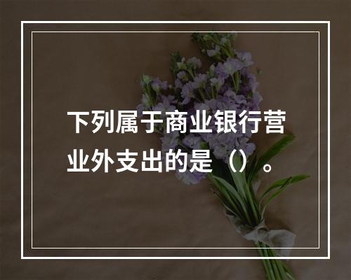 下列属于商业银行营业外支出的是（）。