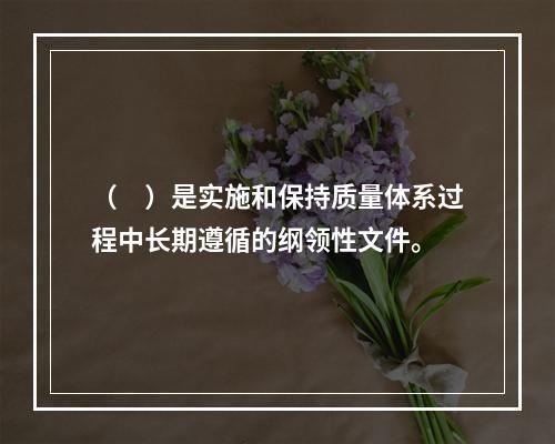 （　）是实施和保持质量体系过程中长期遵循的纲领性文件。