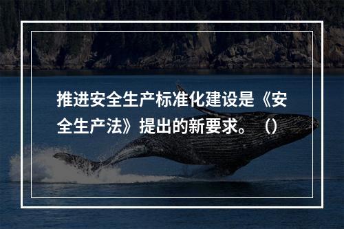 推进安全生产标准化建设是《安全生产法》提出的新要求。（）