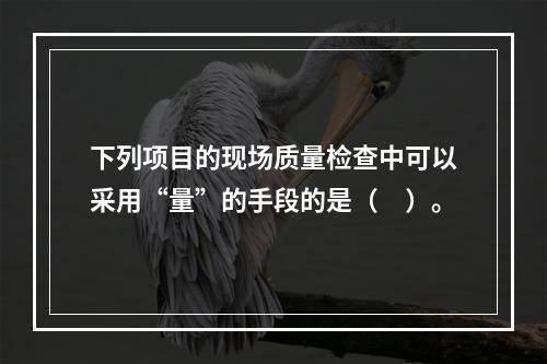 下列项目的现场质量检查中可以采用“量”的手段的是（　）。