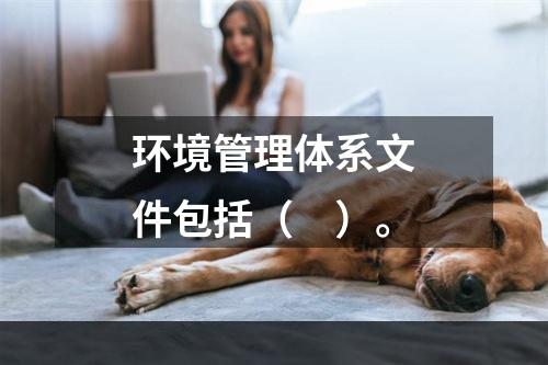 环境管理体系文件包括（　）。