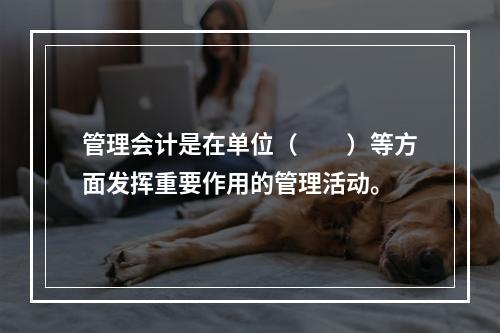 管理会计是在单位（　　）等方面发挥重要作用的管理活动。