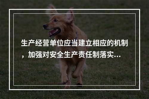 生产经营单位应当建立相应的机制，加强对安全生产责任制落实情况