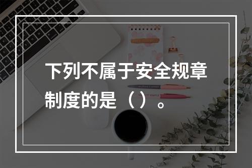 下列不属于安全规章制度的是（ ）。