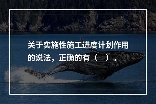 关于实施性施工进度计划作用的说法，正确的有（　）。