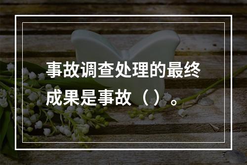 事故调查处理的最终成果是事故（ ）。