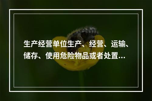 生产经营单位生产、经营、运输、储存、使用危险物品或者处置废弃