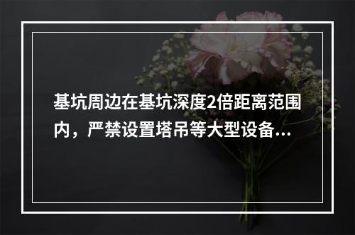 基坑周边在基坑深度2倍距离范围内，严禁设置塔吊等大型设备和搭