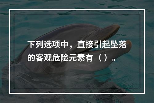 下列选项中，直接引起坠落的客观危险元素有（ ）。