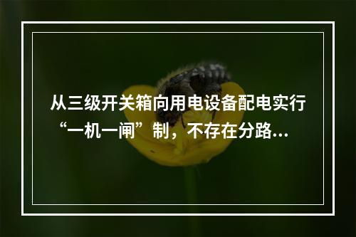 从三级开关箱向用电设备配电实行“一机一闸”制，不存在分路问题