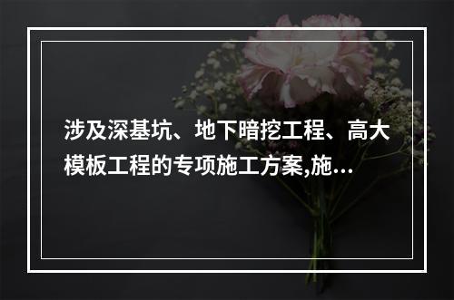 涉及深基坑、地下暗挖工程、高大模板工程的专项施工方案,施工单