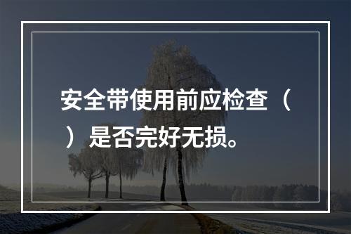 安全带使用前应检查（ ）是否完好无损。