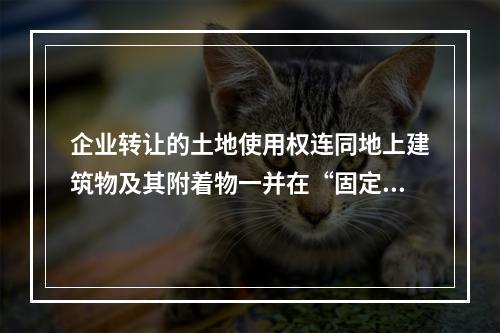 企业转让的土地使用权连同地上建筑物及其附着物一并在“固定资产