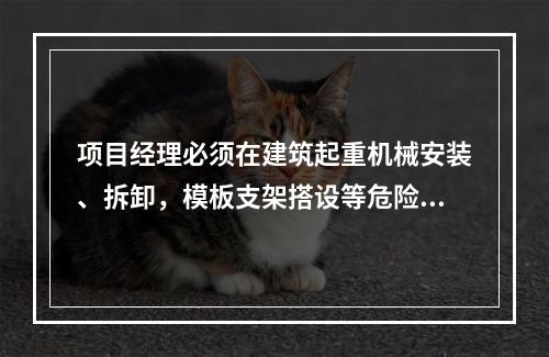 项目经理必须在建筑起重机械安装、拆卸，模板支架搭设等危险性较