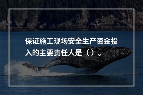 保证施工现场安全生产资金投入的主要责任人是（ ）。