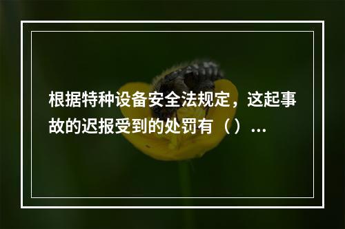 根据特种设备安全法规定，这起事故的迟报受到的处罚有（ ）。