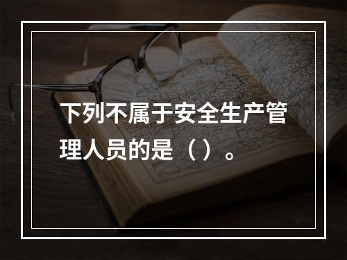 下列不属于安全生产管理人员的是（ ）。