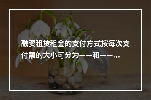 融资租赁租金的支付方式按每次支付额的大小可分为——和——。（