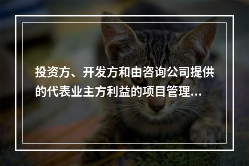 投资方、开发方和由咨询公司提供的代表业主方利益的项目管理服务