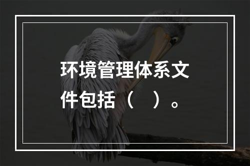 环境管理体系文件包括（　）。