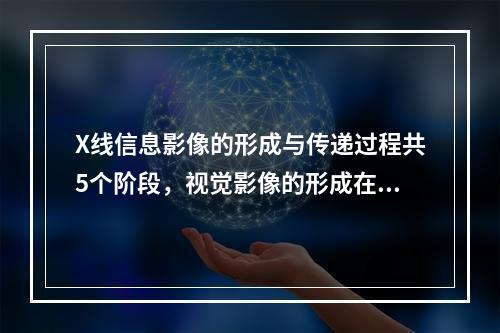 X线信息影像的形成与传递过程共5个阶段，视觉影像的形成在（　