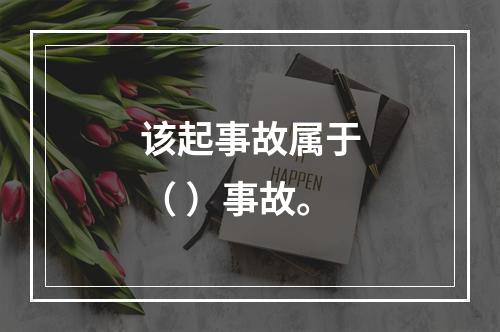 该起事故属于（ ）事故。