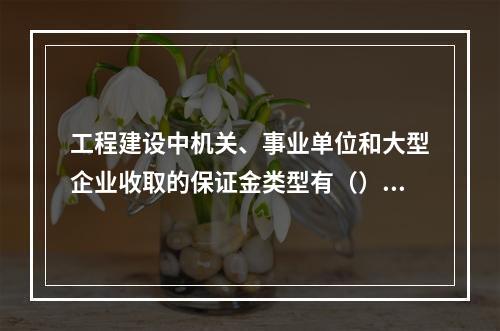 工程建设中机关、事业单位和大型企业收取的保证金类型有（）。