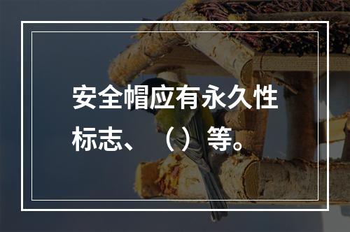 安全帽应有永久性标志、（ ）等。