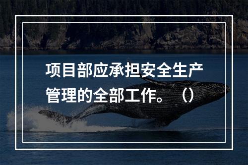 项目部应承担安全生产管理的全部工作。（）