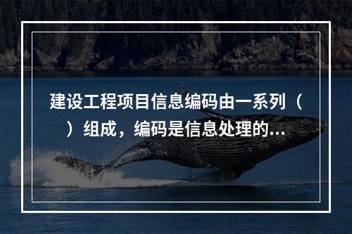 建设工程项目信息编码由一系列（　）组成，编码是信息处理的一项