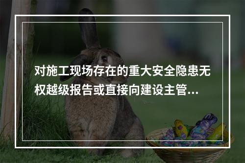 对施工现场存在的重大安全隐患无权越级报告或直接向建设主管部门