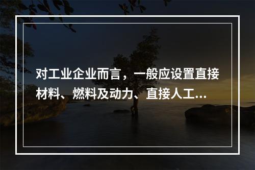 对工业企业而言，一般应设置直接材料、燃料及动力、直接人工、制