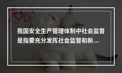 我国安全生产管理体制中社会监督是指要充分发挥社会监督和新闻媒