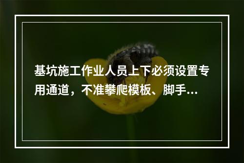 基坑施工作业人员上下必须设置专用通道，不准攀爬模板、脚手架，