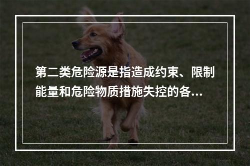 第二类危险源是指造成约束、限制能量和危险物质措施失控的各种不