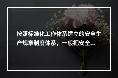 按照标准化工作体系建立的安全生产规章制度体系，一般把安全生产