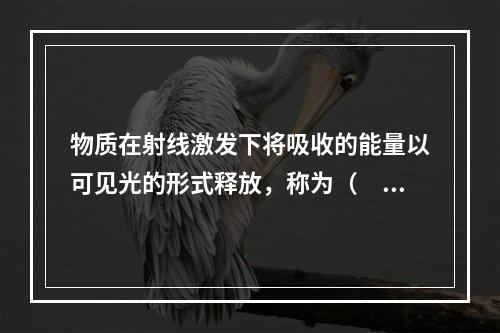 物质在射线激发下将吸收的能量以可见光的形式释放，称为（　　）