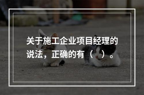 关于施工企业项目经理的说法，正确的有（　）。