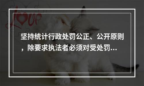 坚持统计行政处罚公正、公开原则，除要求执法者必须对受处罚者公